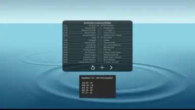 Screenshot von Basketball Livescore Widget 5