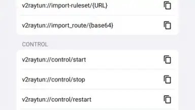 Screenshot von v2RayTun 10