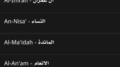 Screenshot von Radio Quran 4