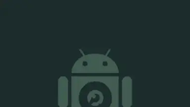 Screenshot von DroidCam 1