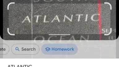 Screenshot von Google Lens 4