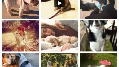 Screenshot von We Heart It 2