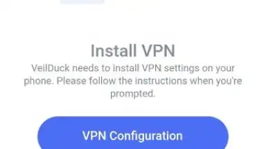 Screenshot von Veilduck VPN 5
