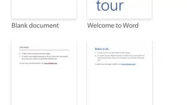 Screenshot von Microsoft Word 9