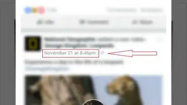 Screenshot von Daily Video Downloader 3
