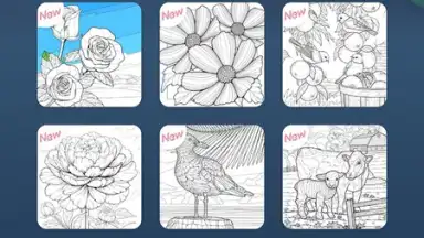 Screenshot von Zen Color 20