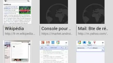 Screenshot von Tint Browser 4
