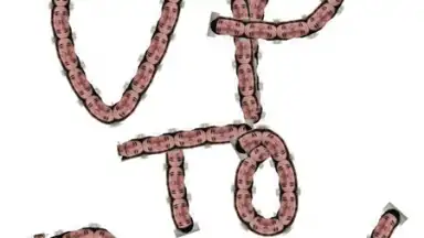 Screenshot von Adobe Brush CC 4
