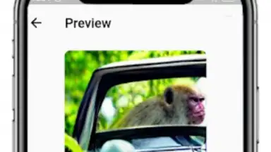 Screenshot von DALL-E : AI Image Generator 1