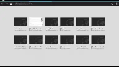 Screenshot von Tint Browser 2