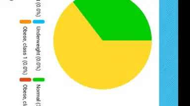 Screenshot von BP Log 13