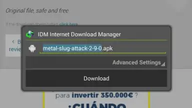 Screenshot von IDM 7