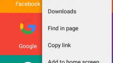 Screenshot von BrowserR 4