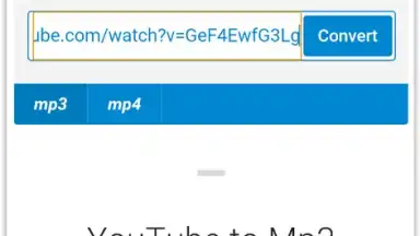 Screenshot von Download MP3 From YouTube Songs 3
