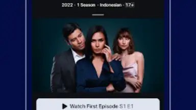 Screenshot von Disney+ Hotstar (Android TV) 6