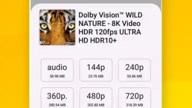 Screenshot von Vidora YouTube Downloader | free & fast 13