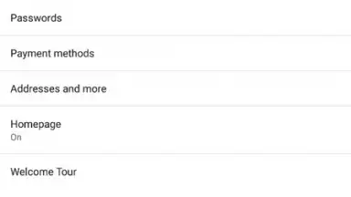 Screenshot von Brave Nightly (devs & testers) 6