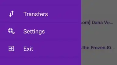 Screenshot von YouTorrents 4