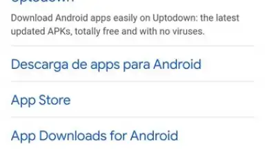 Screenshot von Google Chrome 4