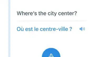 Screenshot von Reverso Translation Dictionary 22