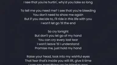 Screenshot von ViMusic 3