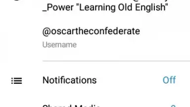 Screenshot von Via Messenger - Unofficial Telegram App 18