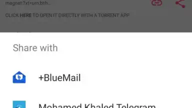 Screenshot von Torrent Search 2