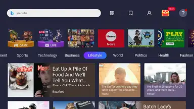 Screenshot von Open Browser 6