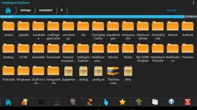 Screenshot von Intelligent Explorer Pro 8