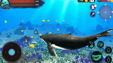 Screenshot von The Humpback Whales 1