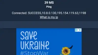 Screenshot von VPN.lat 6