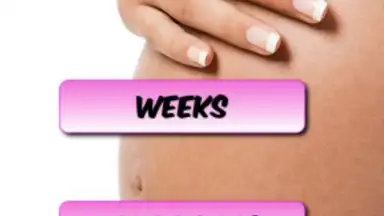 Screenshot von Pregnancy Weekly 1