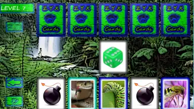 Screenshot von ZYXCards 1