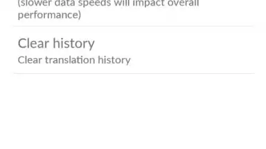 Screenshot von Microsoft Translator 8