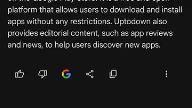 Screenshot von Google Gemini 13