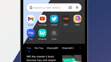 Screenshot von DDU Browser 4