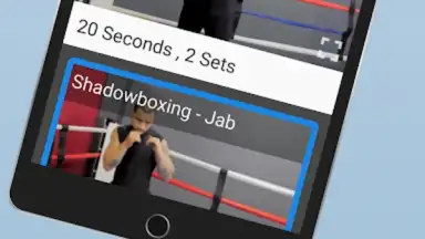 Screenshot von Ultimate MMA Fighting Program 3