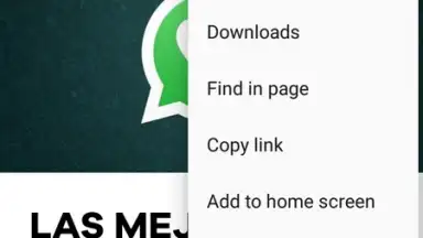 Screenshot von Noura Browser 1