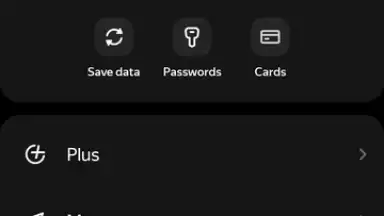 Screenshot von Yandex 1