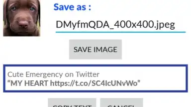 Screenshot von Video Downloader for Twitter 1