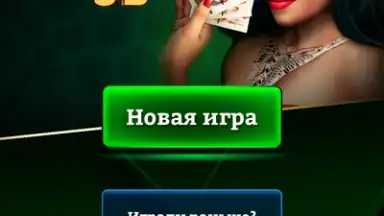 Screenshot von Durak Online 3D 1