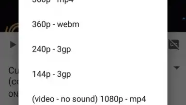 Screenshot von VidCatch 1