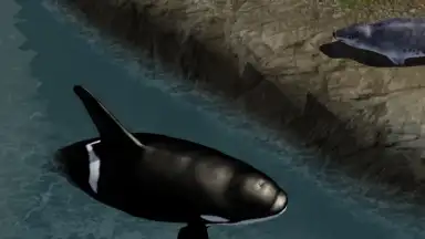 Screenshot von Orca Simulator 2