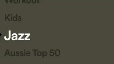 Screenshot von Spotify Stations 7