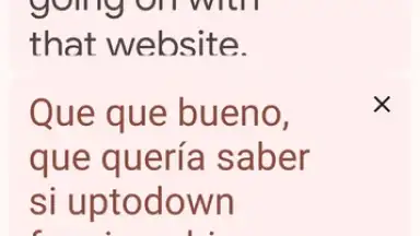 Screenshot von Google Translate 1