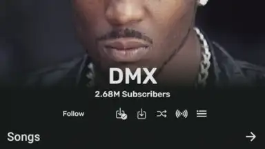 Screenshot von RiMusic 5
