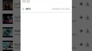Screenshot von iTube Pro 4