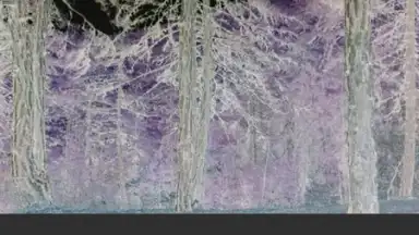 Screenshot von VidTrim - Video Editor 9