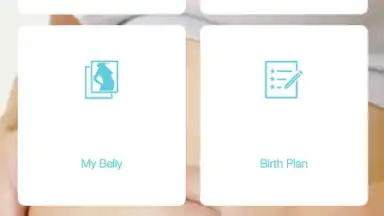 Screenshot von Pregnancy + 11
