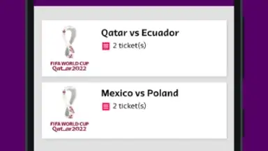 Screenshot von FIFA World Cup 2022™ Tickets 1